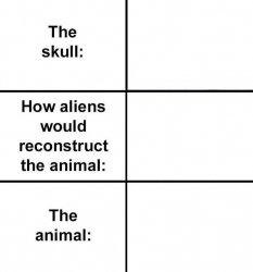 How Aliens Would Reconstruct the Animal Meme Template