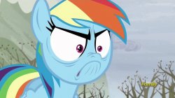 Rainbow Dash is looking Angry Meme Template