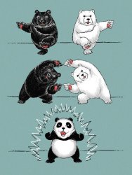 Panda Fusion Meme Template