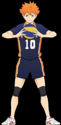 hinata with volleyball Meme Template