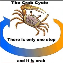 Crab. Meme Template