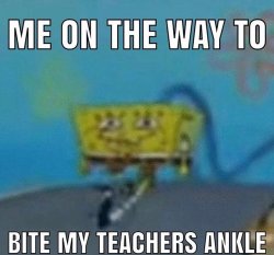 me on the way to bite my teachers ankle Meme Template