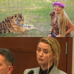 amber heard Meme Template