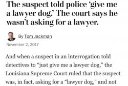 Give me a lawyer dog Meme Template