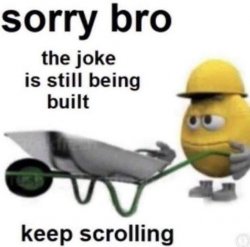 sorry bro the joke is still being built Meme Template