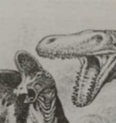 T Rex screaming at Corythosaurus Meme Template