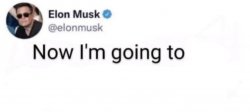 Elon Musk now I'm going to X Meme Template