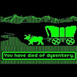 Oregon Trail Dysentery- I’m this Old Meme Template
