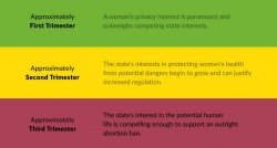 Roe v. Wade trimester framework Meme Template