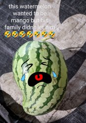 Poor watermelon Meme Template