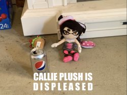Displeased Callie plush Meme Template