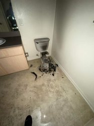 exploded toilet Meme Template