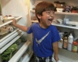 Kid screaming at the fridge Meme Template