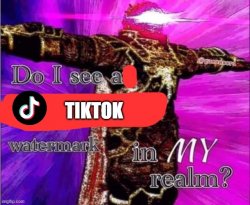 Do I see a Tiktok Watermark Meme Template