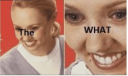 The WHAT Meme Template