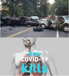 Dui/Covid Meme Template