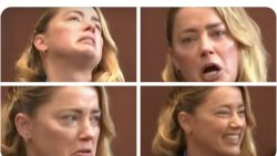 Amber Heard Meme Template