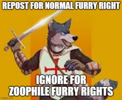 Furry crusader repost Meme Template