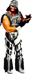 Macho Man Randy Savage full length with transparency Meme Template