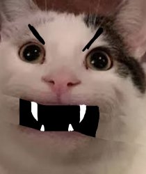 H Meme Template