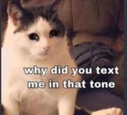 Why did u text me in that tone Meme Template