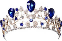 Gold Diamond Sapphire Princess Tiara Meme Template