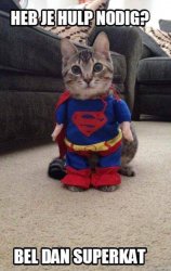 SUPER CAT Meme Template