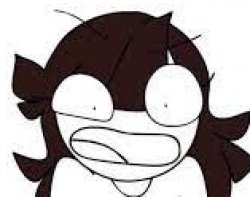 jaiden animations angry Meme Template