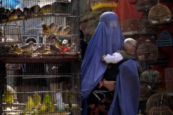 Afghan woman in burqa Meme Template