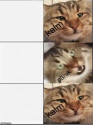 Tarcin Reversed Panik Kalm Meme Template