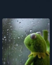 introspective kermit Meme Template