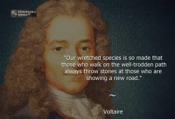 Voltaire quote Meme Template