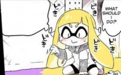 what should i do splatoon Meme Template