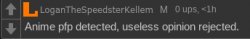 Anime pfp detected, useless opinion rejected Meme Template