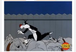 Sylvester cat Meme Template