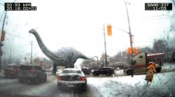 Apatosaurus at Canada Meme Template