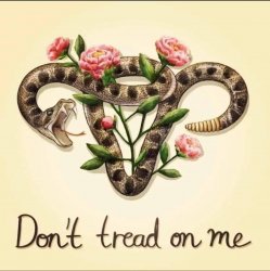 Don’t tread on me uterus Meme Template