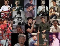 Niall Horan Meme Template