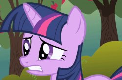 twilight sparkle cringes Meme Template