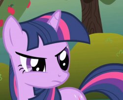 twilight sparkle frowning Meme Template