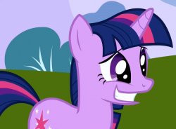 twilight sparkle's awkward face Meme Template
