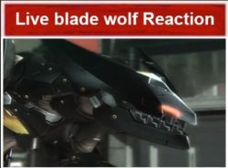 Live blade wolf reaction Meme Template