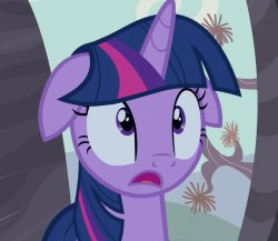 twilight sparkle's shocked face Meme Template