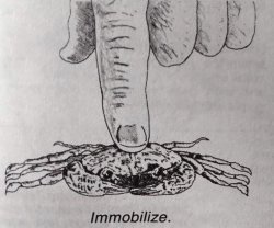 Immobilize. Meme Template