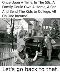 The 1950s one-income family Meme Template