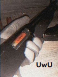 uwu Meme Template