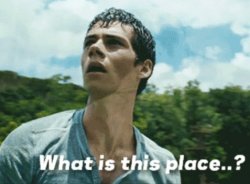Maze Runner: What is this place! Meme Template