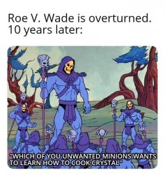 Roe v. Wade overturned Meme Template
