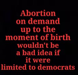Abortion limited to democrats Meme Template