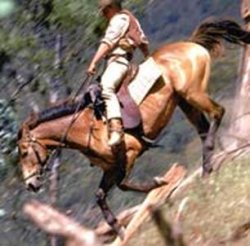 The Man From Snowy River Meme Template
